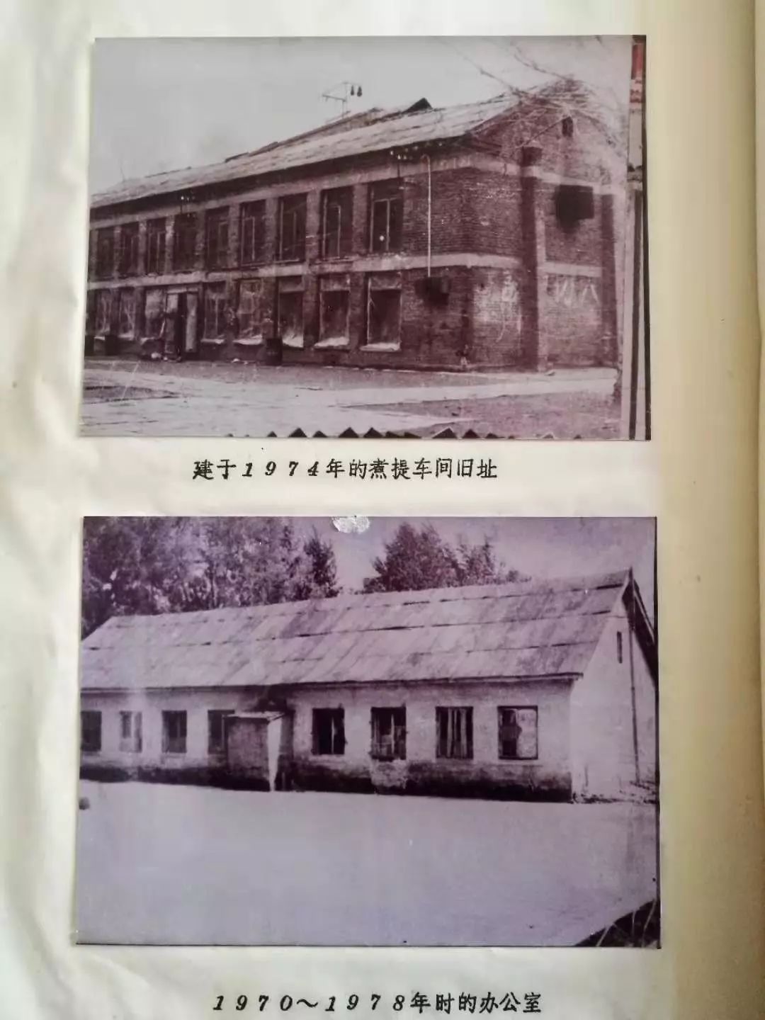 尊龙凯时人生就是搏药业 尊龙凯时人生就是搏药业