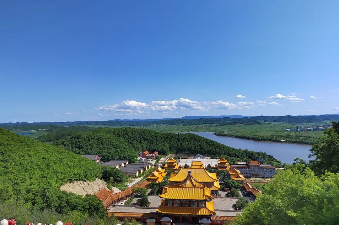 尊龙凯时人生就是搏药业